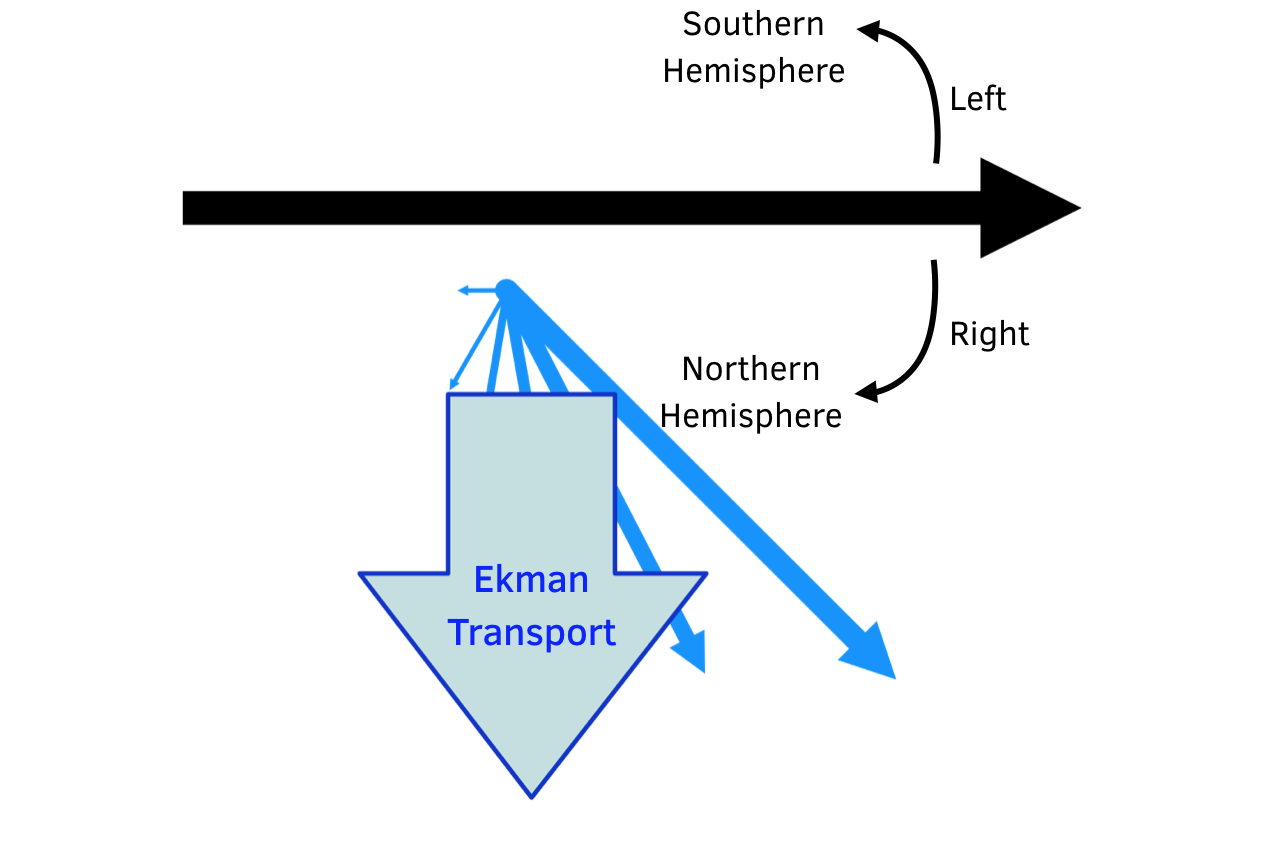 The Ekman spiral pattern