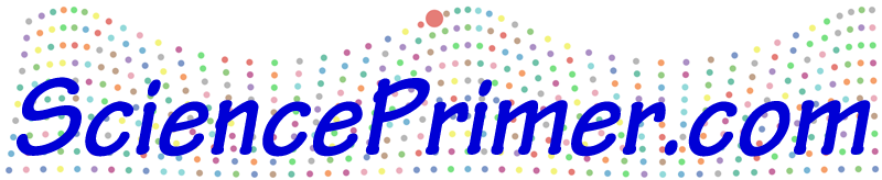 copy number calculator for realtime pcr science primer